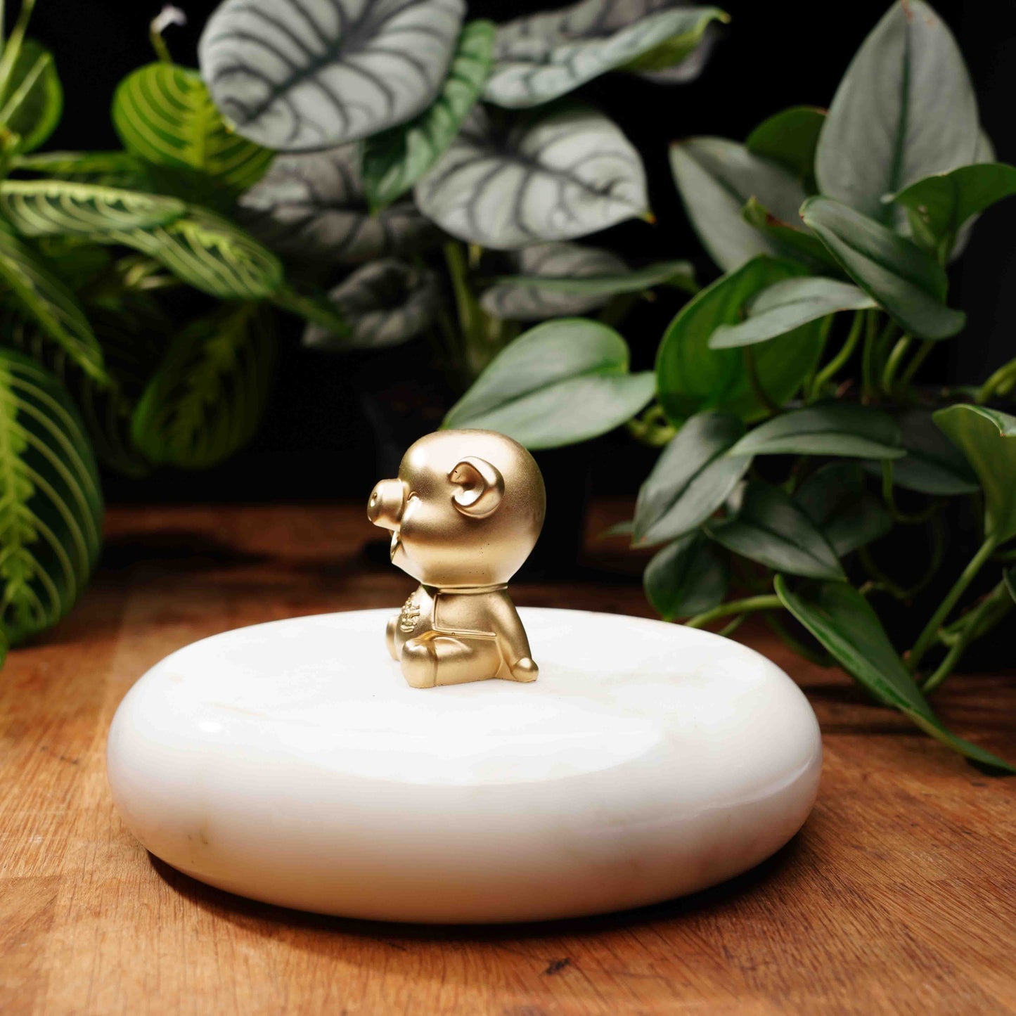 Gold Concrete Lucky Pig