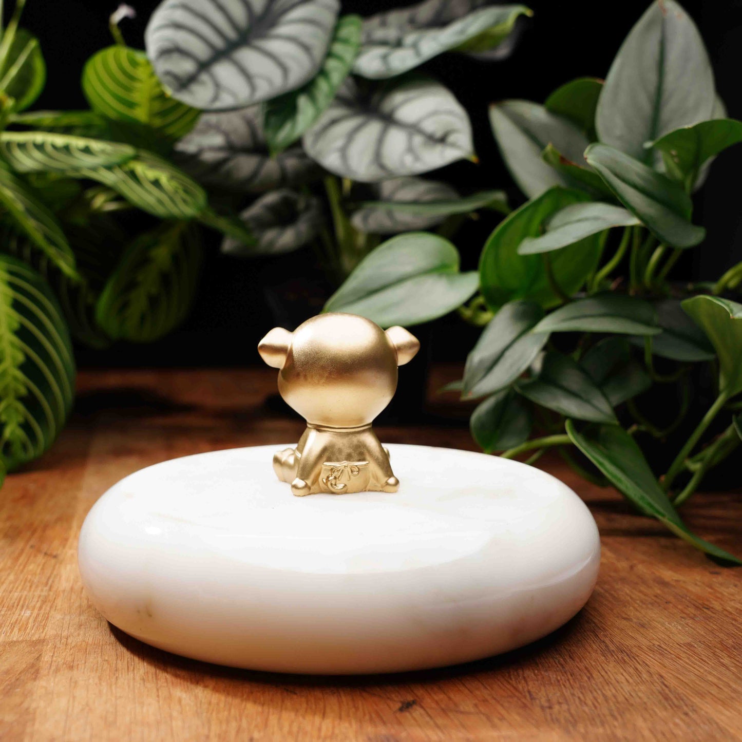 Gold Concrete Lucky Pig