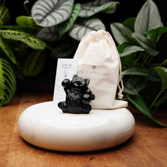 black lucky cat for luck and protection