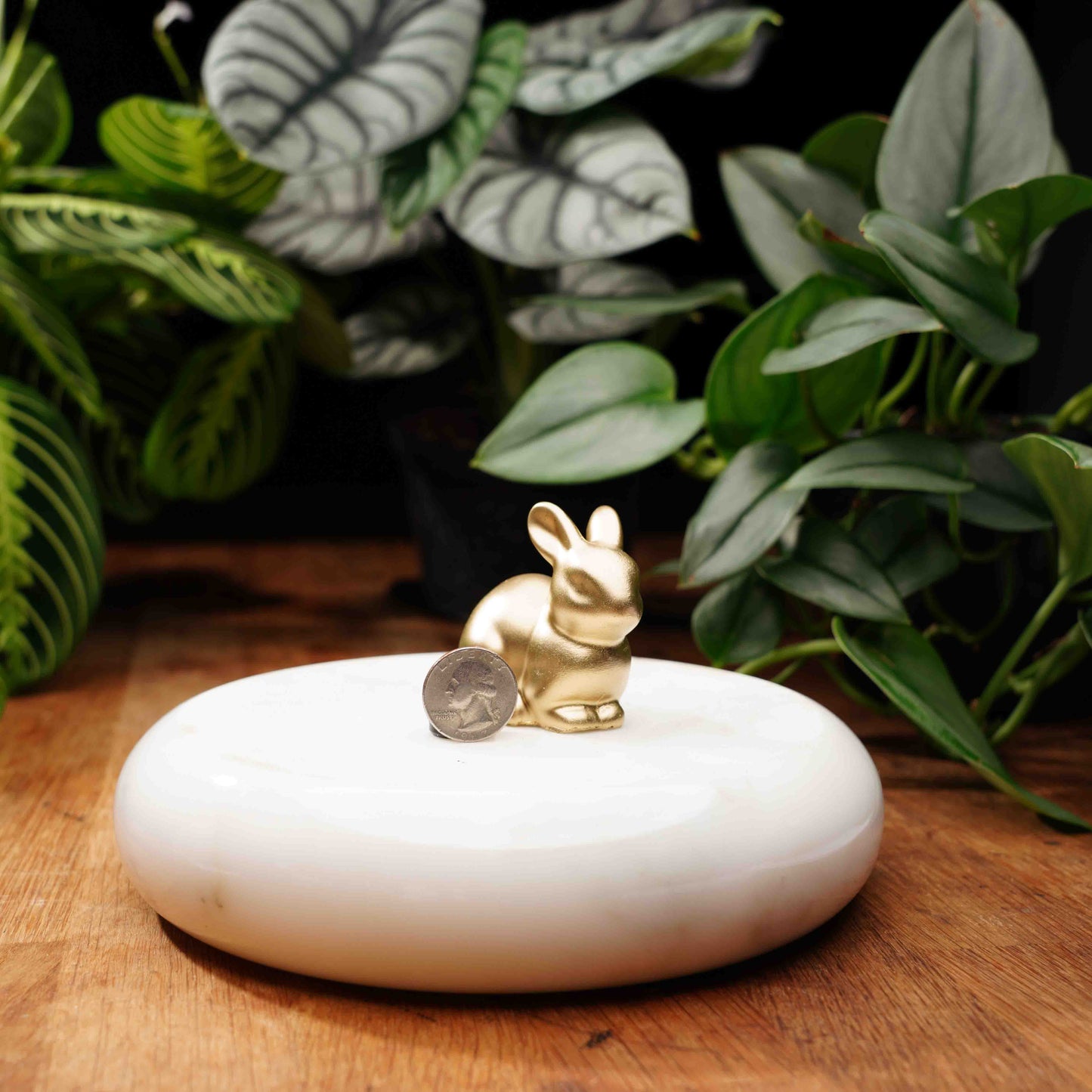 Gold Concrete Good Luck Rabbit
