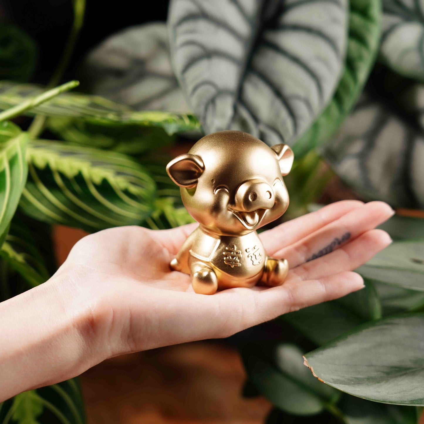 Gold Concrete Lucky Pig