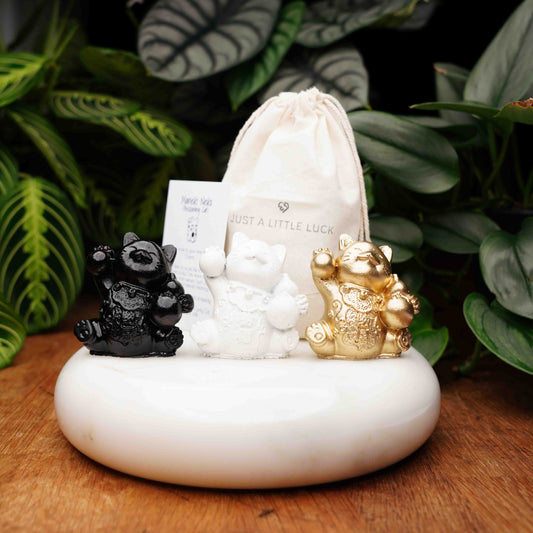 Concrete Lucky Cat Set - Maneki Neko Set For Luck, Wealth, and Prosperity