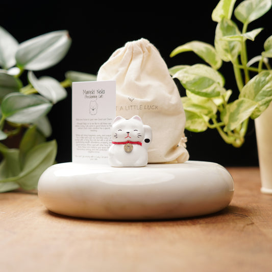 white lucky cat for happiness and luck with a feng shui coin collar