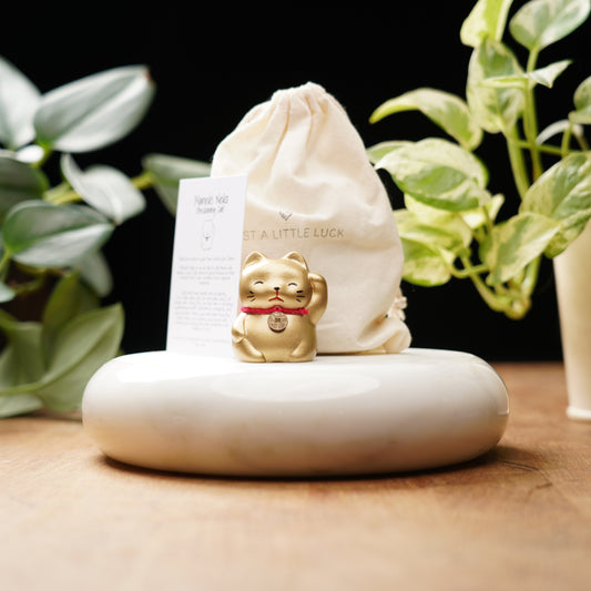 gold lucky cat for good luck and prosperity with a feng shui coin on collar