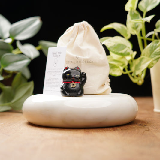 black lucky cat for protection and good luck