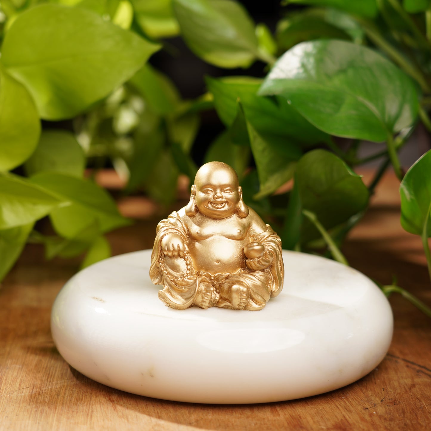 Gold Concrete Laughing Buddha