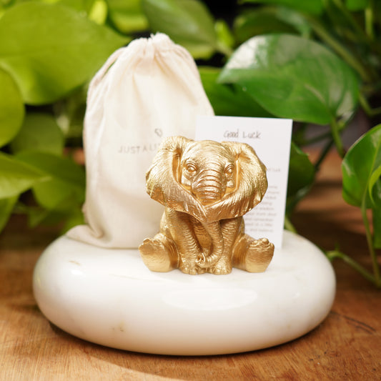 Hear No Evil Lucky Elephant