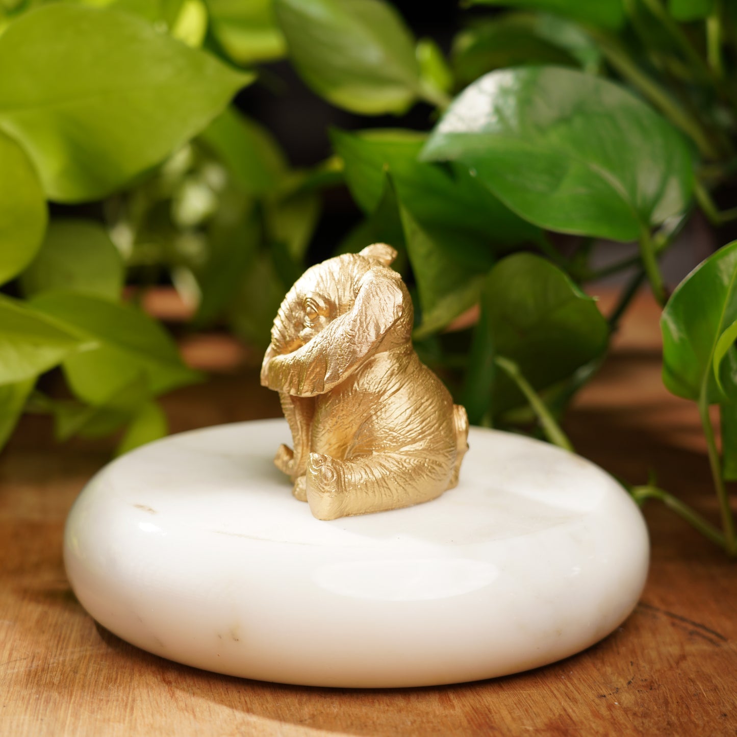 Hear No Evil Lucky Elephant