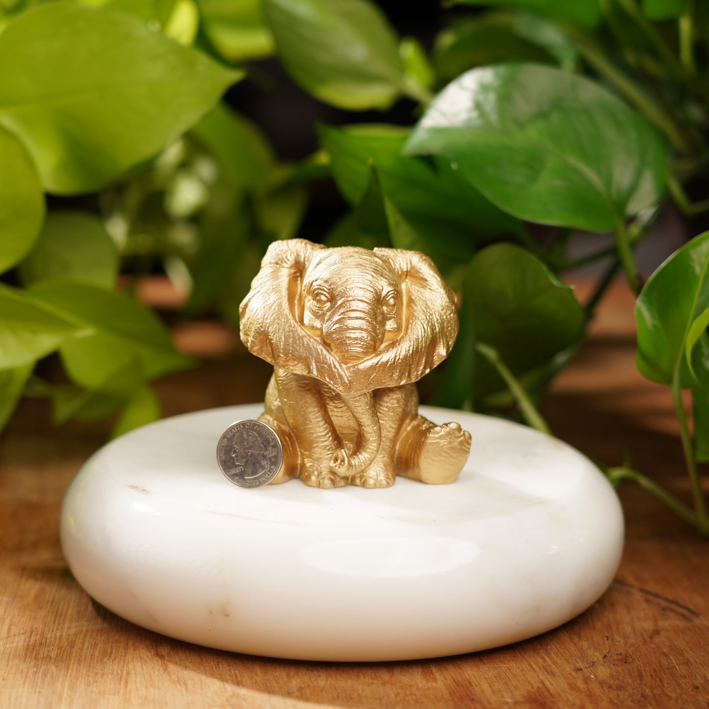 Hear No Evil Lucky Elephant