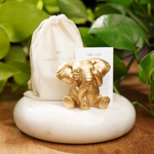 See No Evil Lucky Elephant