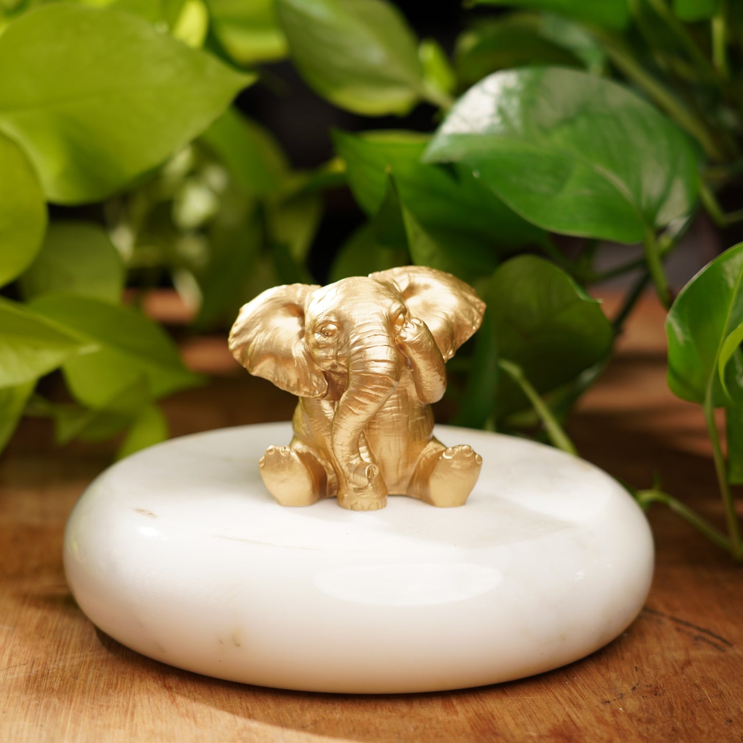 See No Evil Lucky Elephant