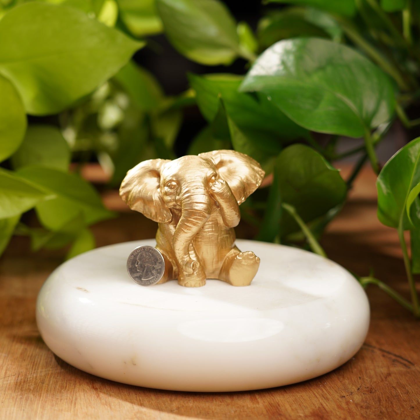 See No Evil Lucky Elephant