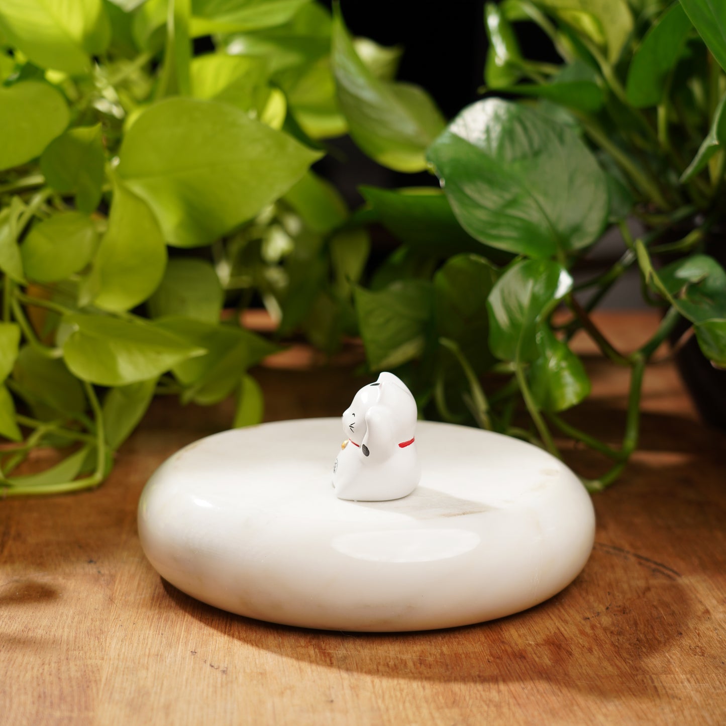 White Concrete Maneki Neko-Lucky Cat For Happiness