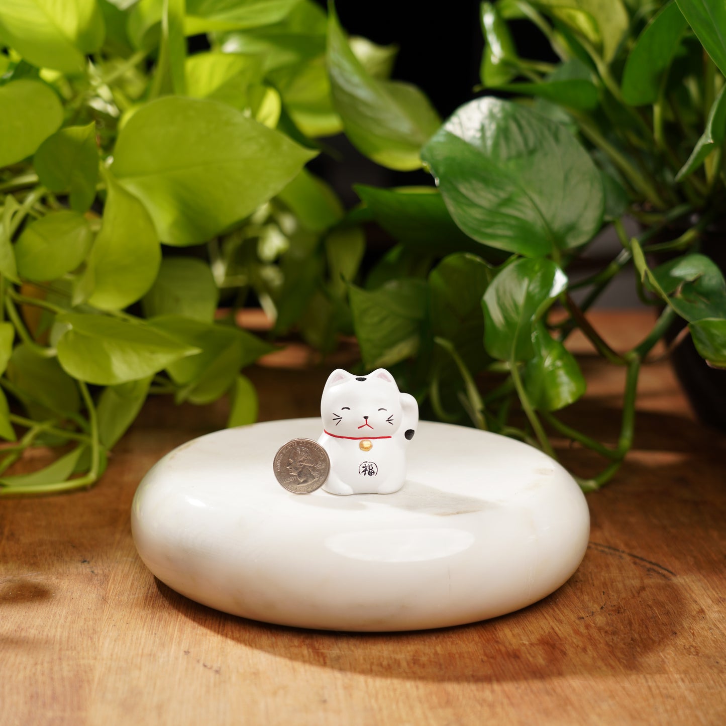 White Concrete Maneki Neko-Lucky Cat For Happiness