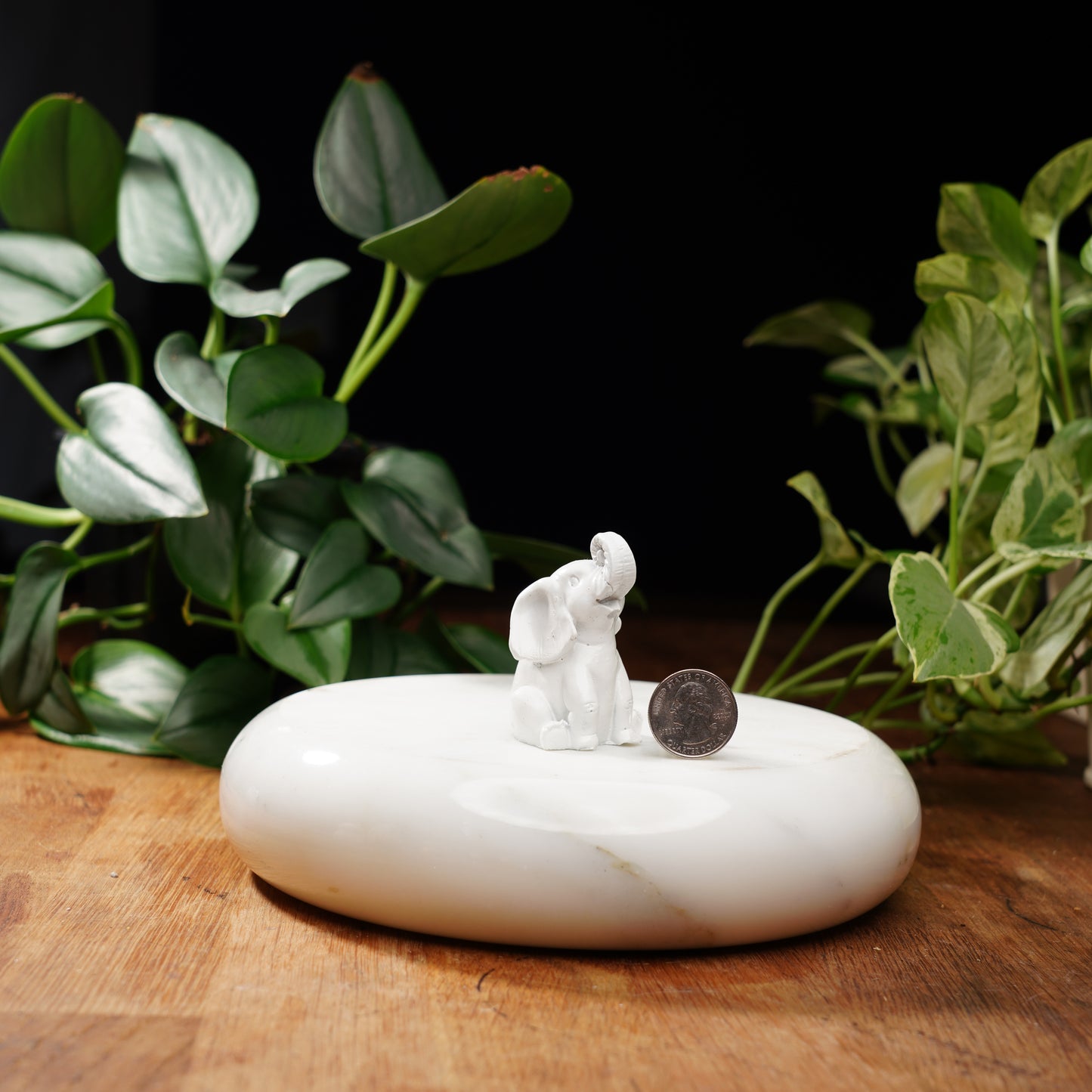 White Concrete Lucky Elephant