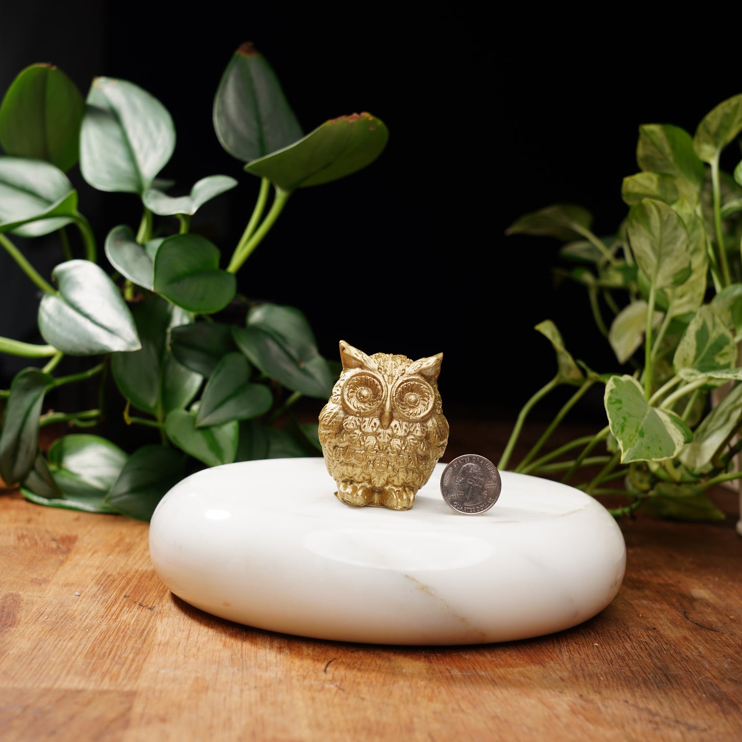 Gold Concrete Lucky Owl