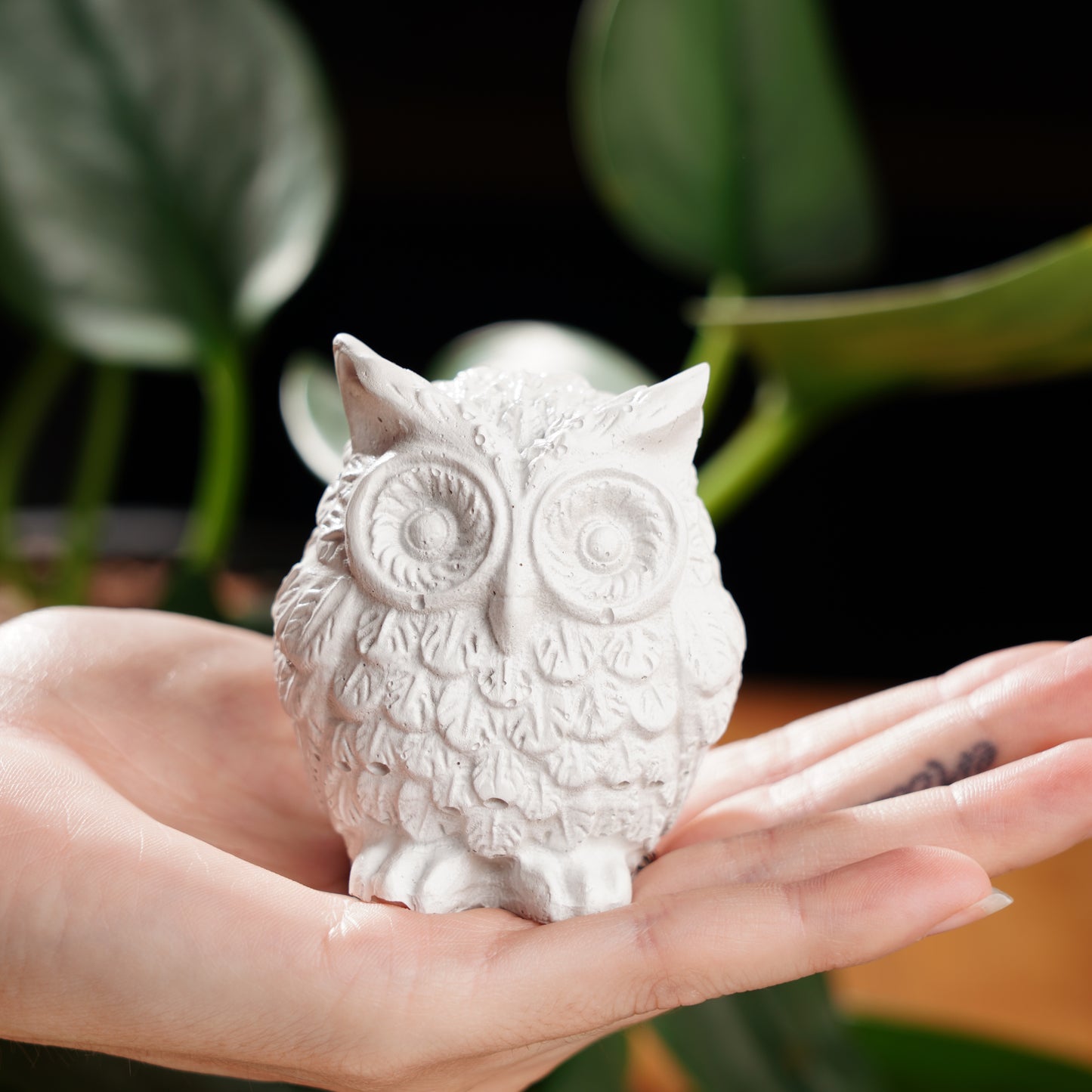 White Concrete Lucky Owl