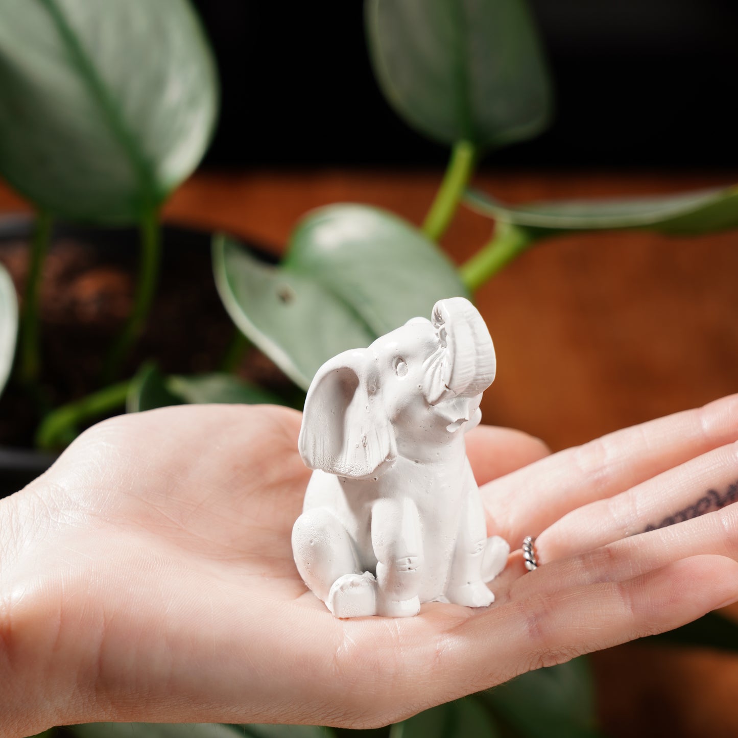 White Concrete Lucky Elephant