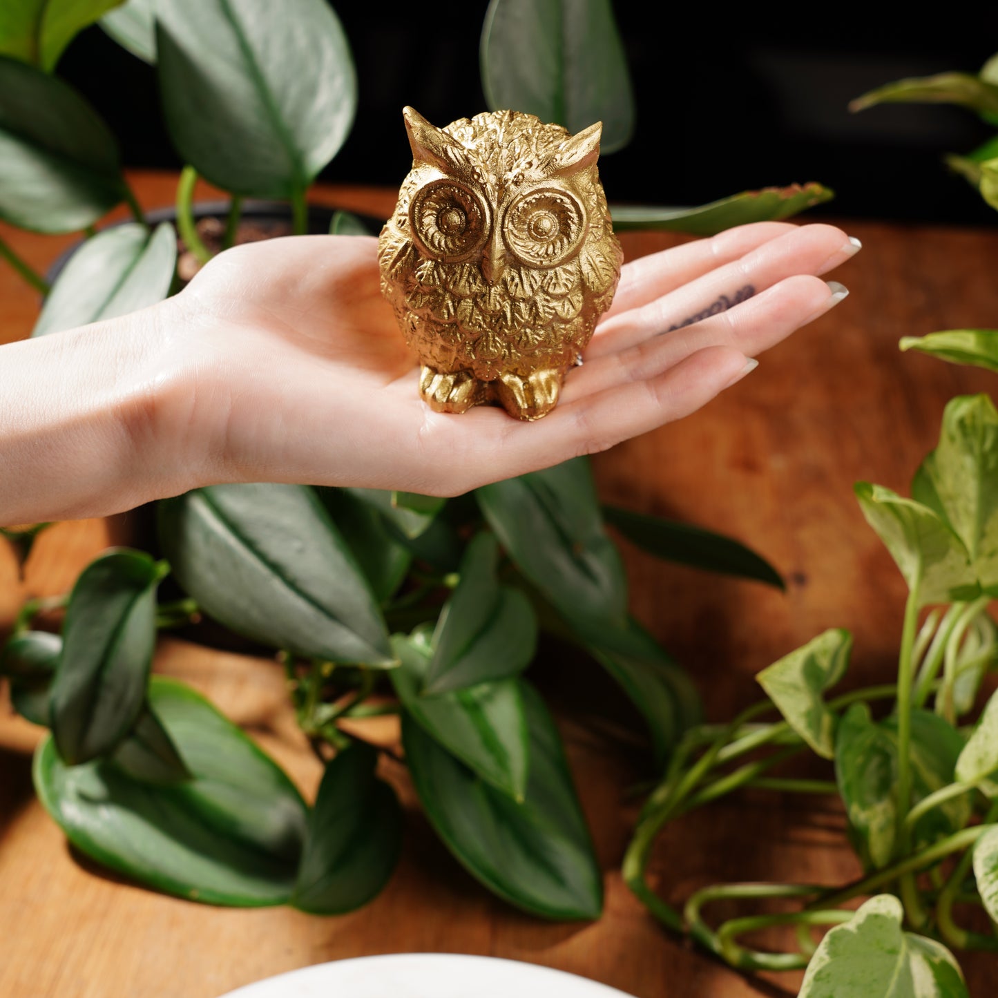 Gold Concrete Lucky Owl