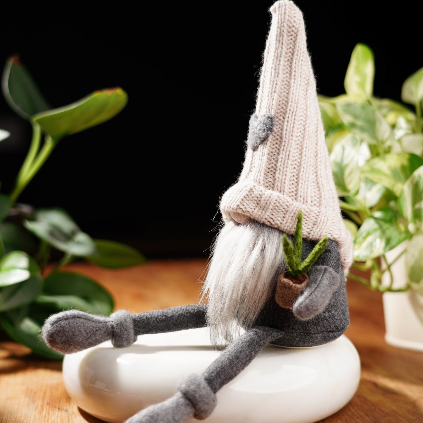 Plant Lover Gnome For Good Luck