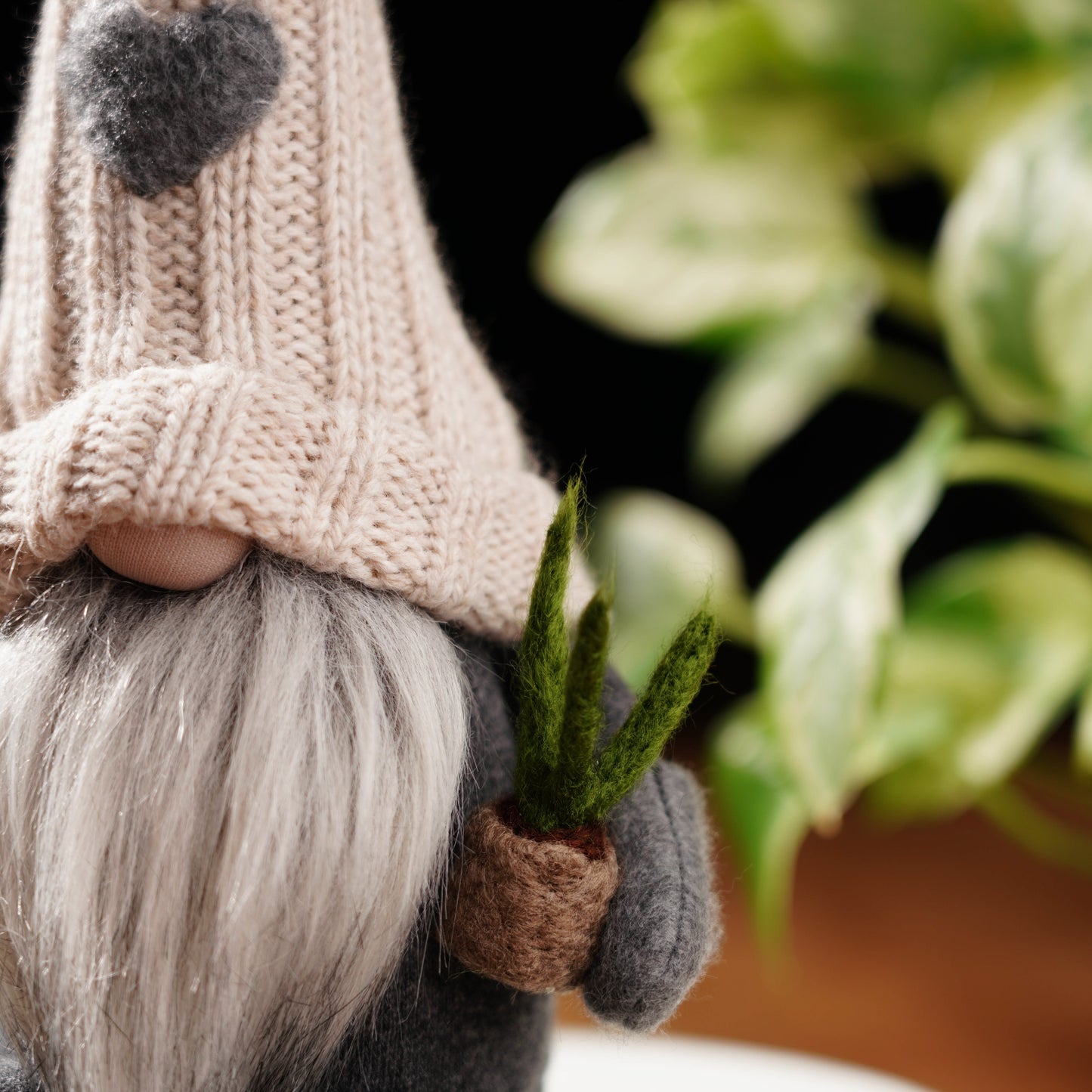 Plant Lover Gnome For Good Luck