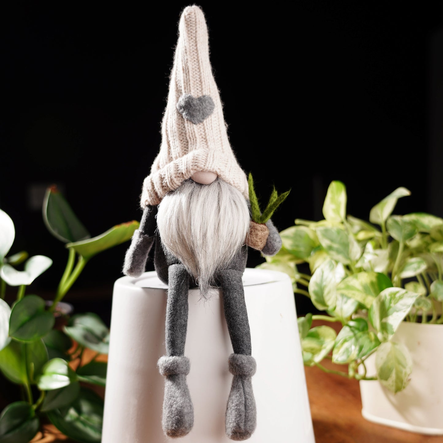 Plant Lover Gnome For Good Luck