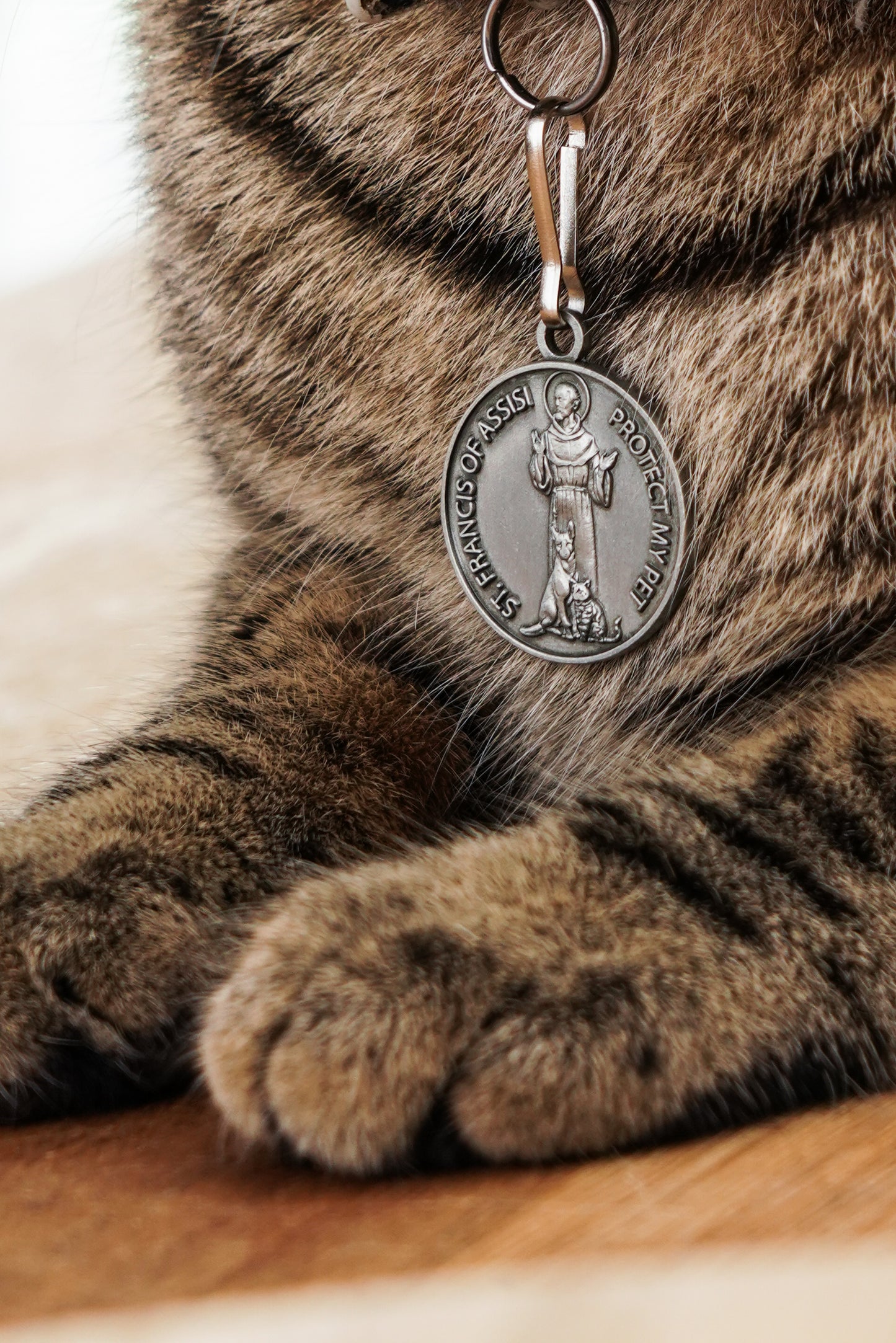 Saint Francis Pet Tag
