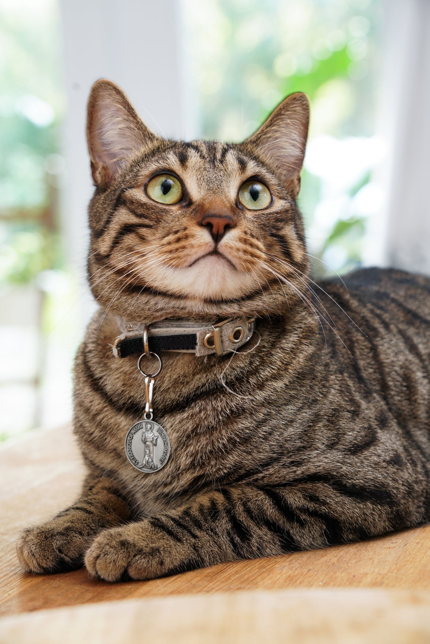 Saint Francis Pet Tag