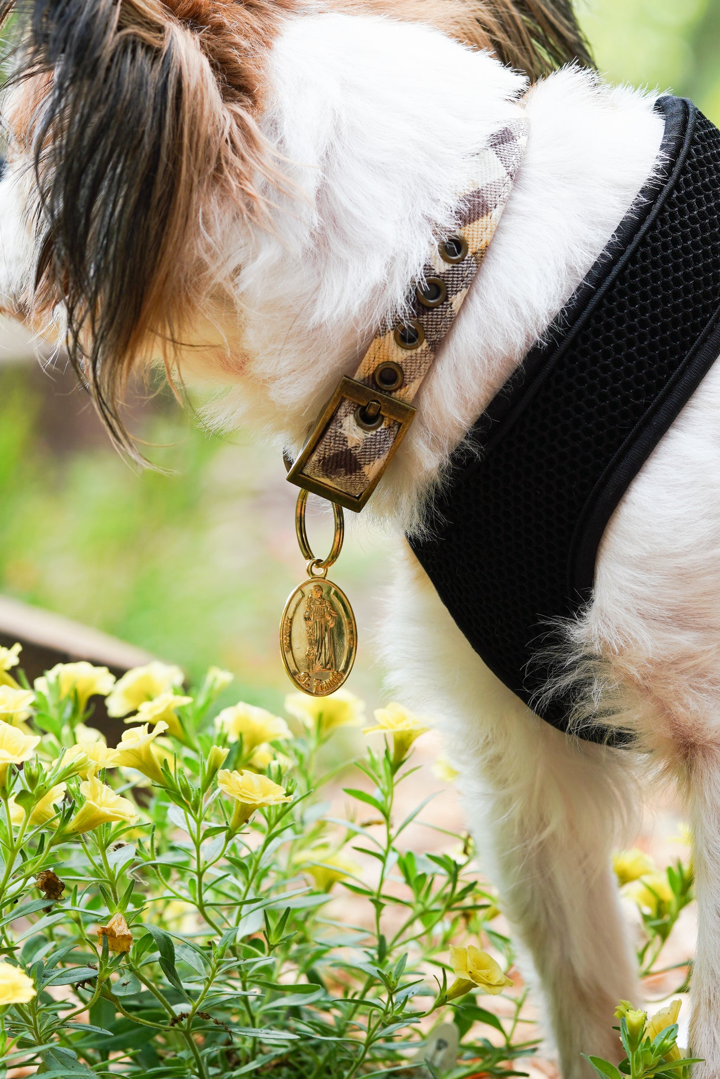 Gold Saint Francis Pet Tag-Limited Edition
