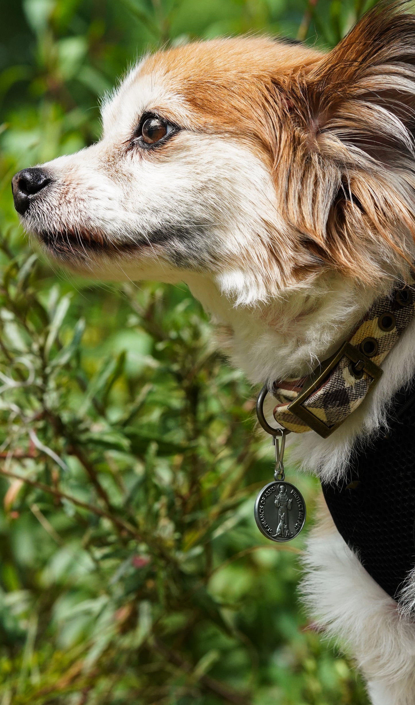 Saint Francis Pet Tag