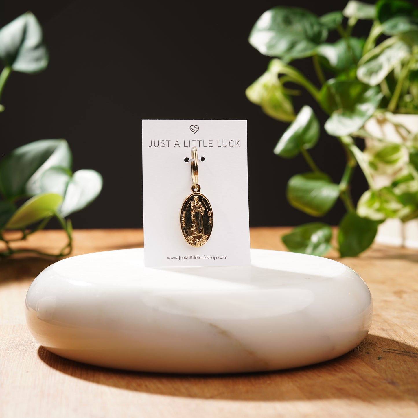 Gold Saint Francis Pet Tag-Limited Edition
