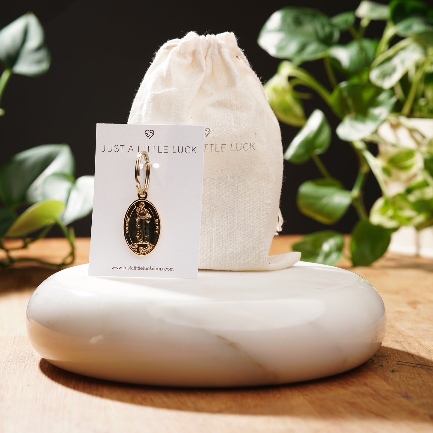 Gold Saint Francis Pet Tag-Limited Edition