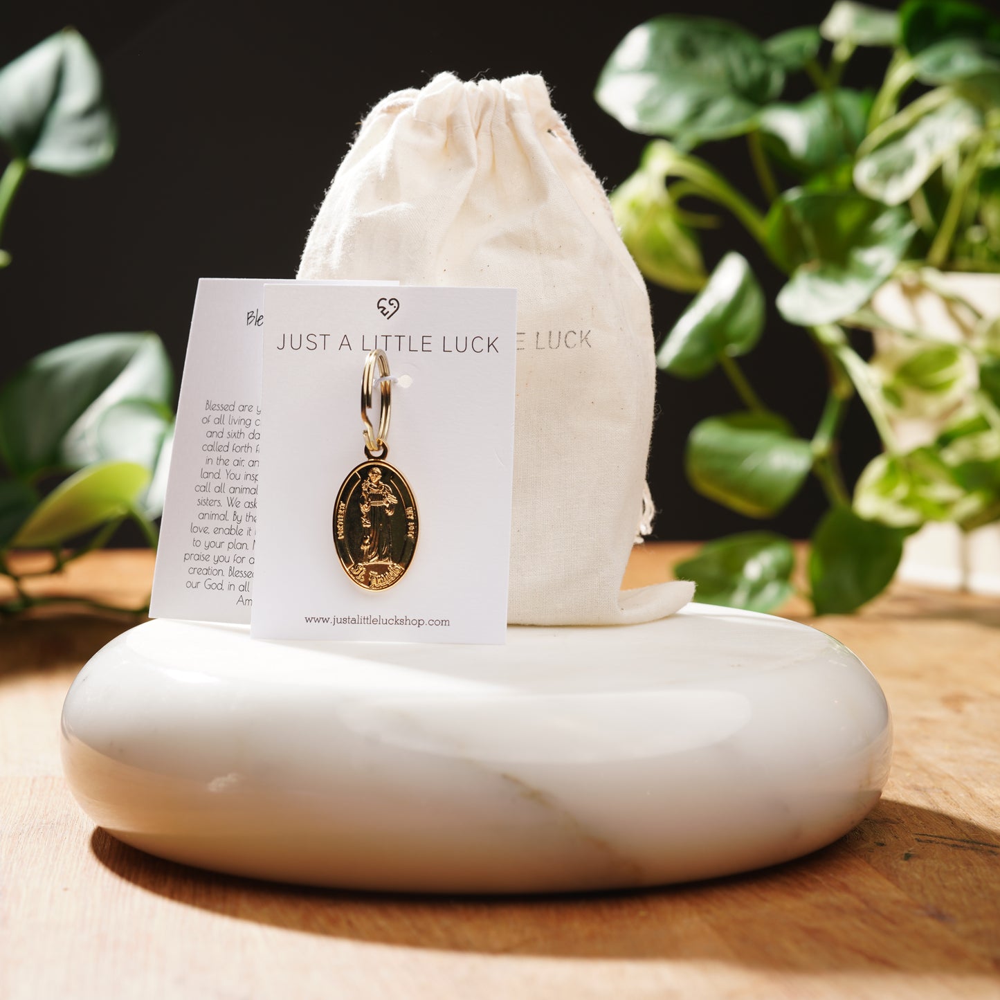 Gold Saint Francis Pet Tag-Limited Edition