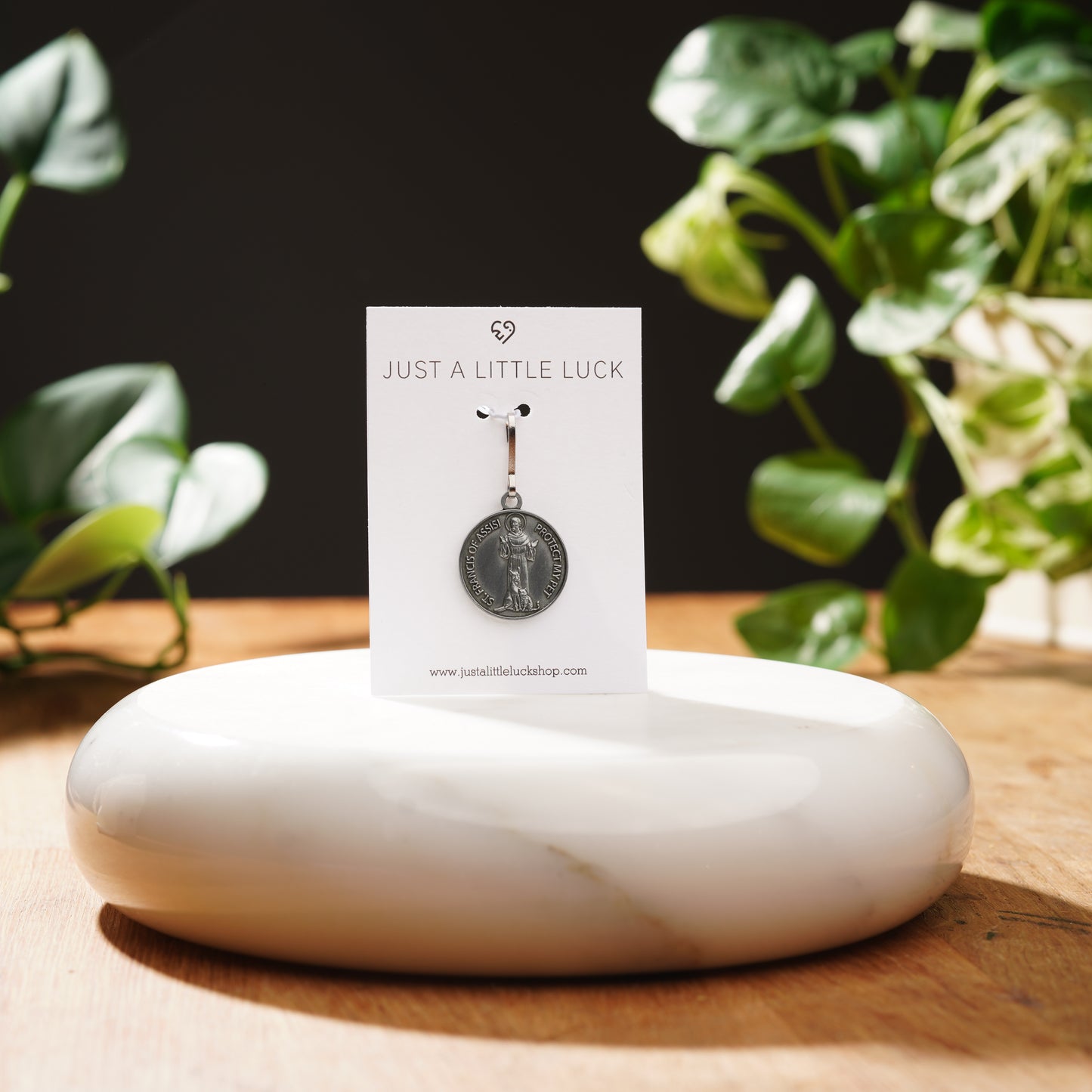 Saint Francis Pet Tag