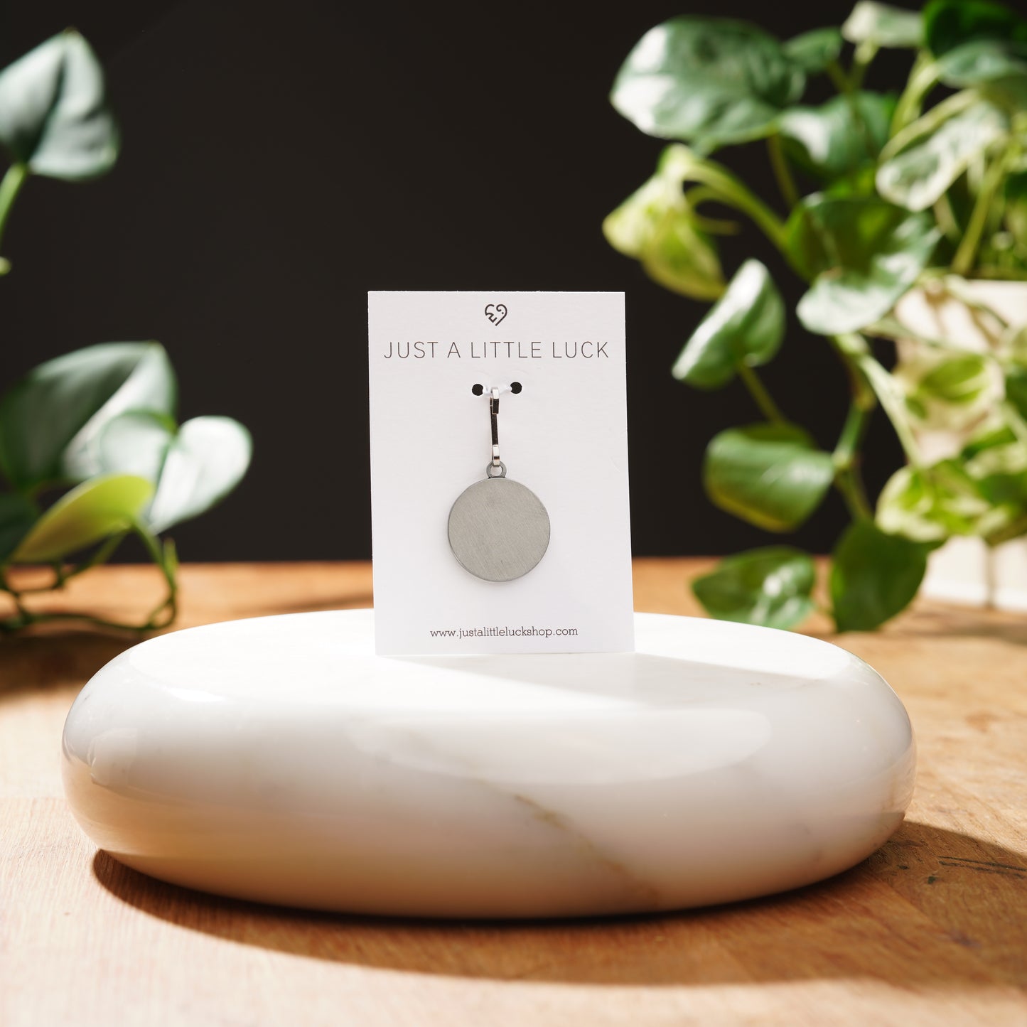 Saint Francis Pet Tag