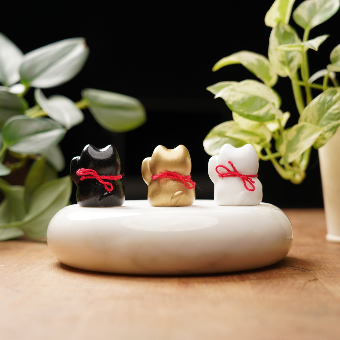 Lucky Cat Set - Feng Shui Coin