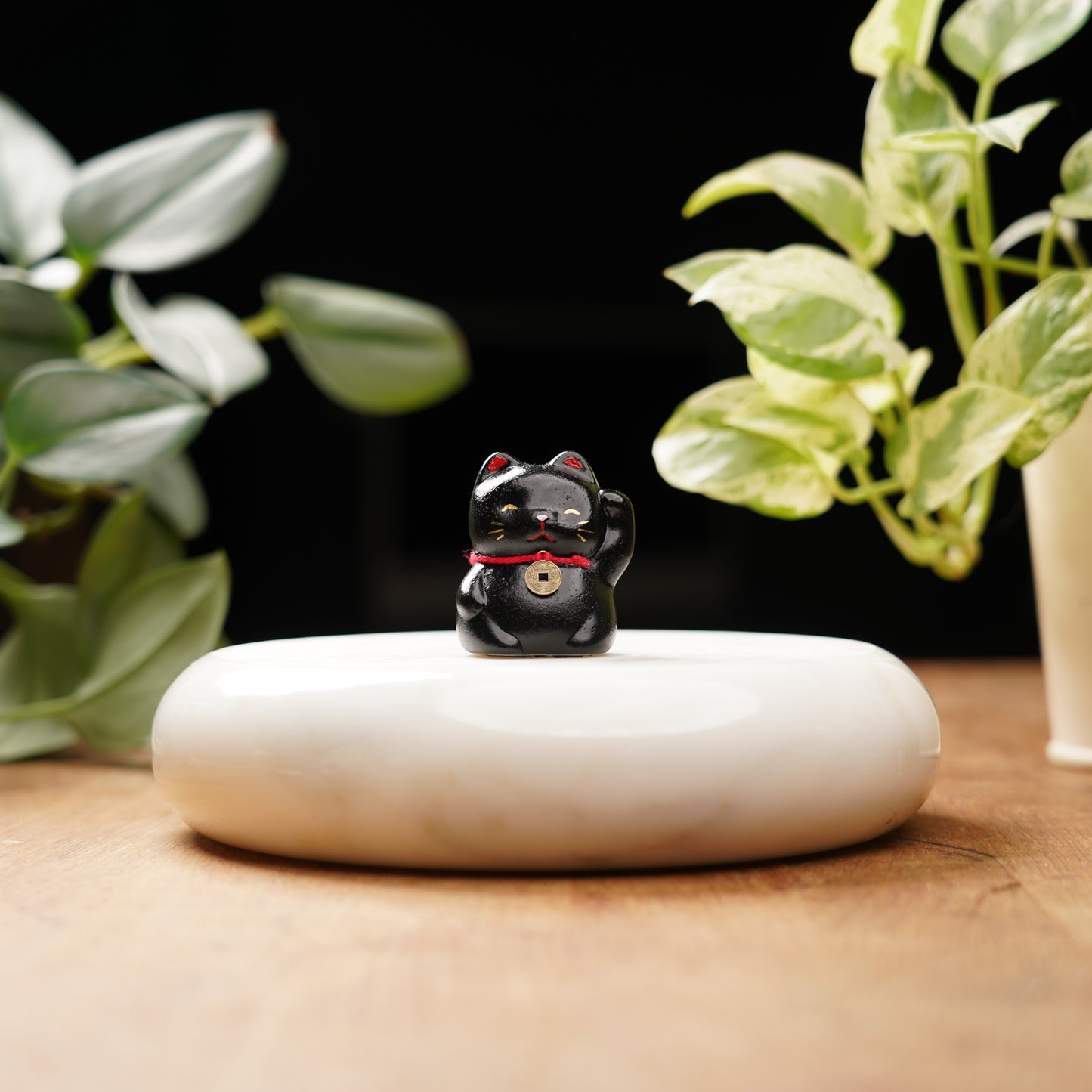 Black Lucky Cat - Feng Shui Coin