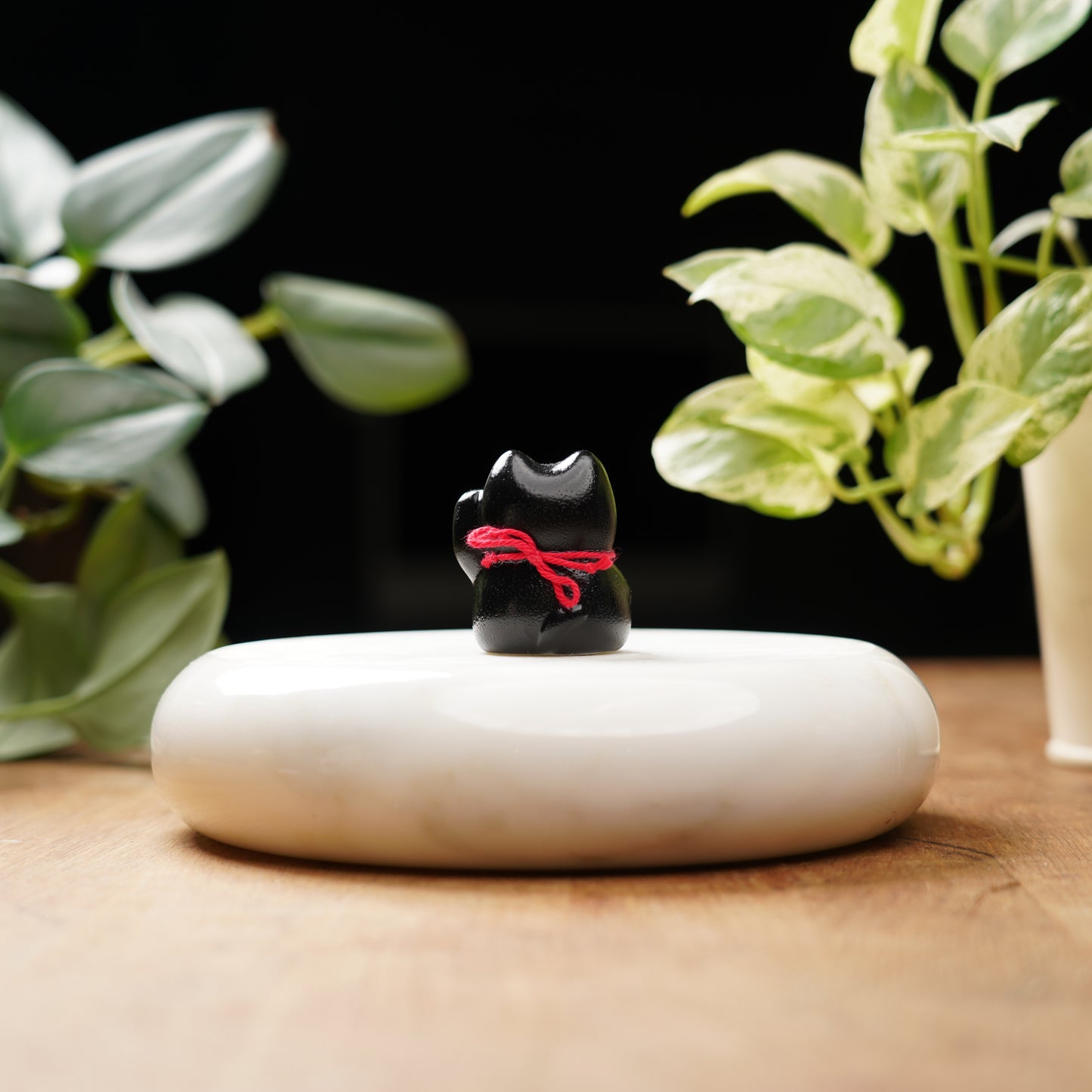 Black Lucky Cat - Feng Shui Coin