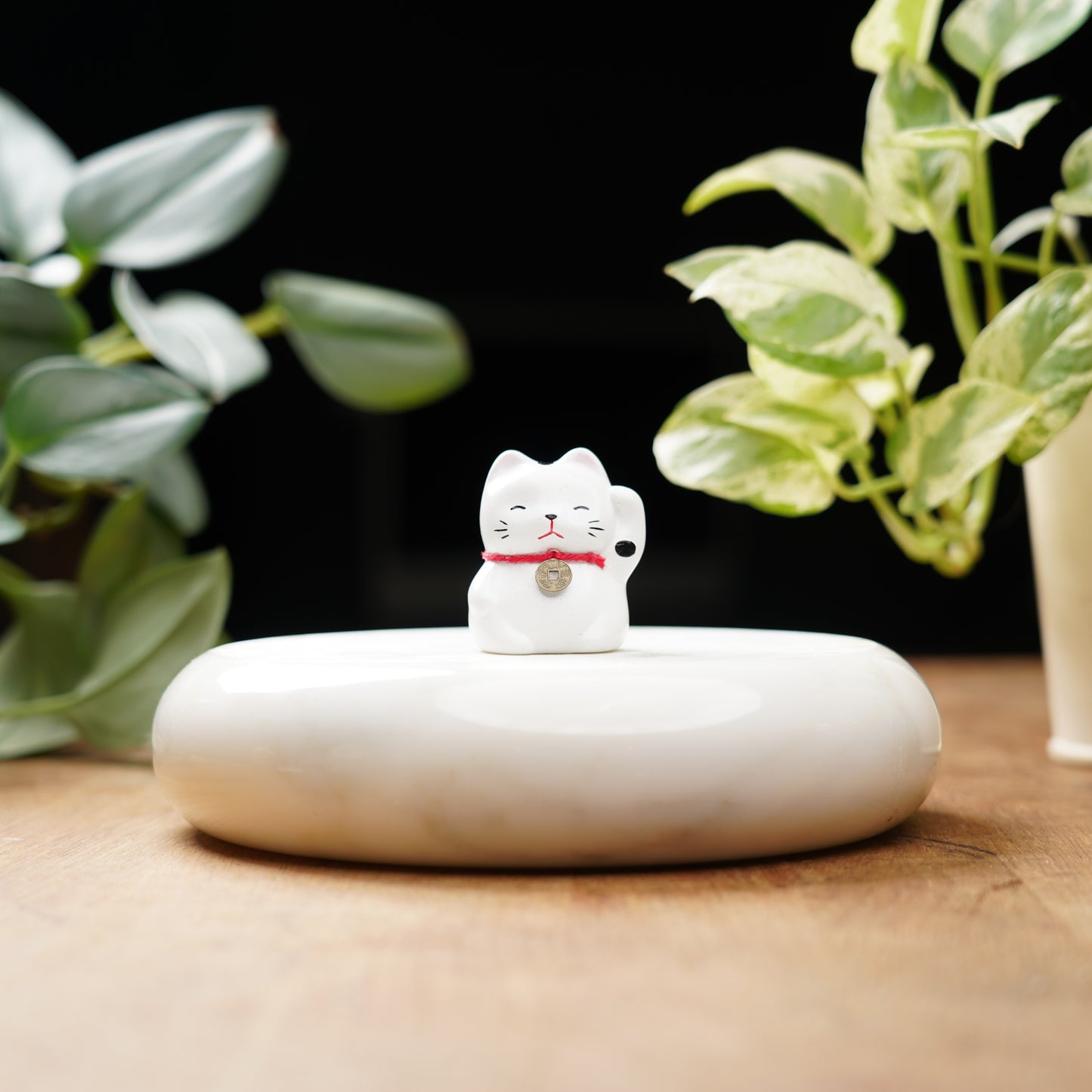 White Lucky Cat - Feng Shui Coin