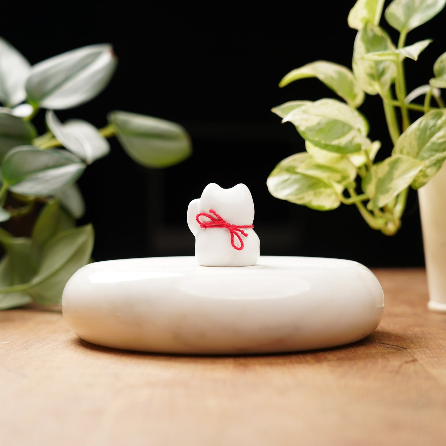 White Lucky Cat - Feng Shui Coin