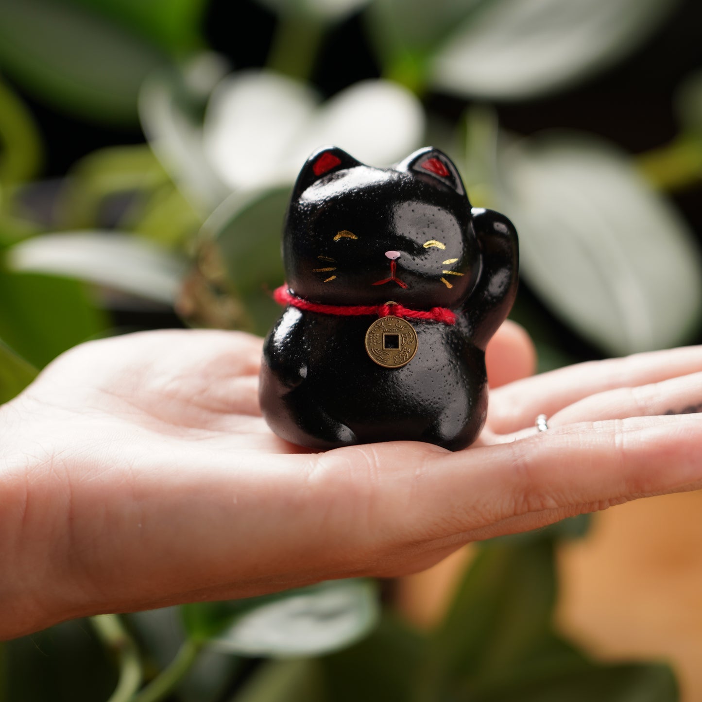 Black Lucky Cat - Feng Shui Coin