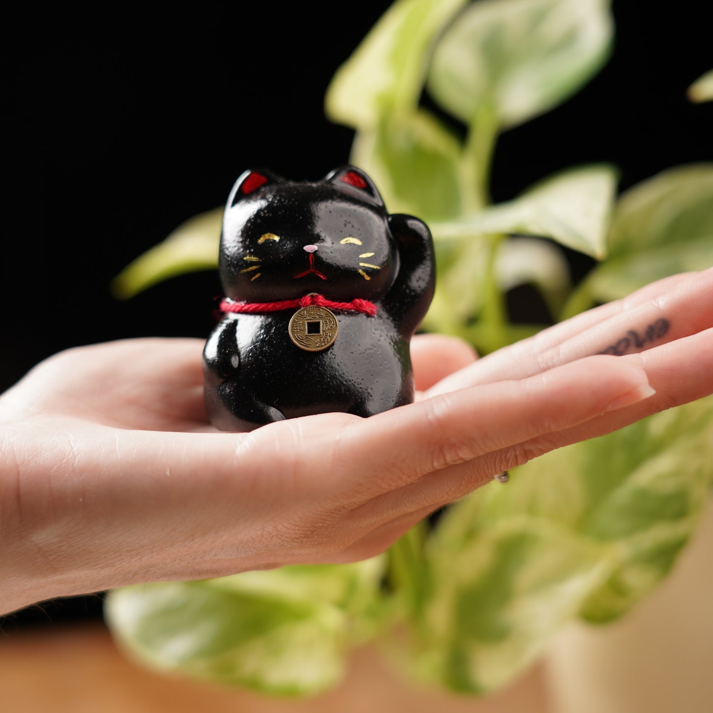 Black Lucky Cat - Feng Shui Coin