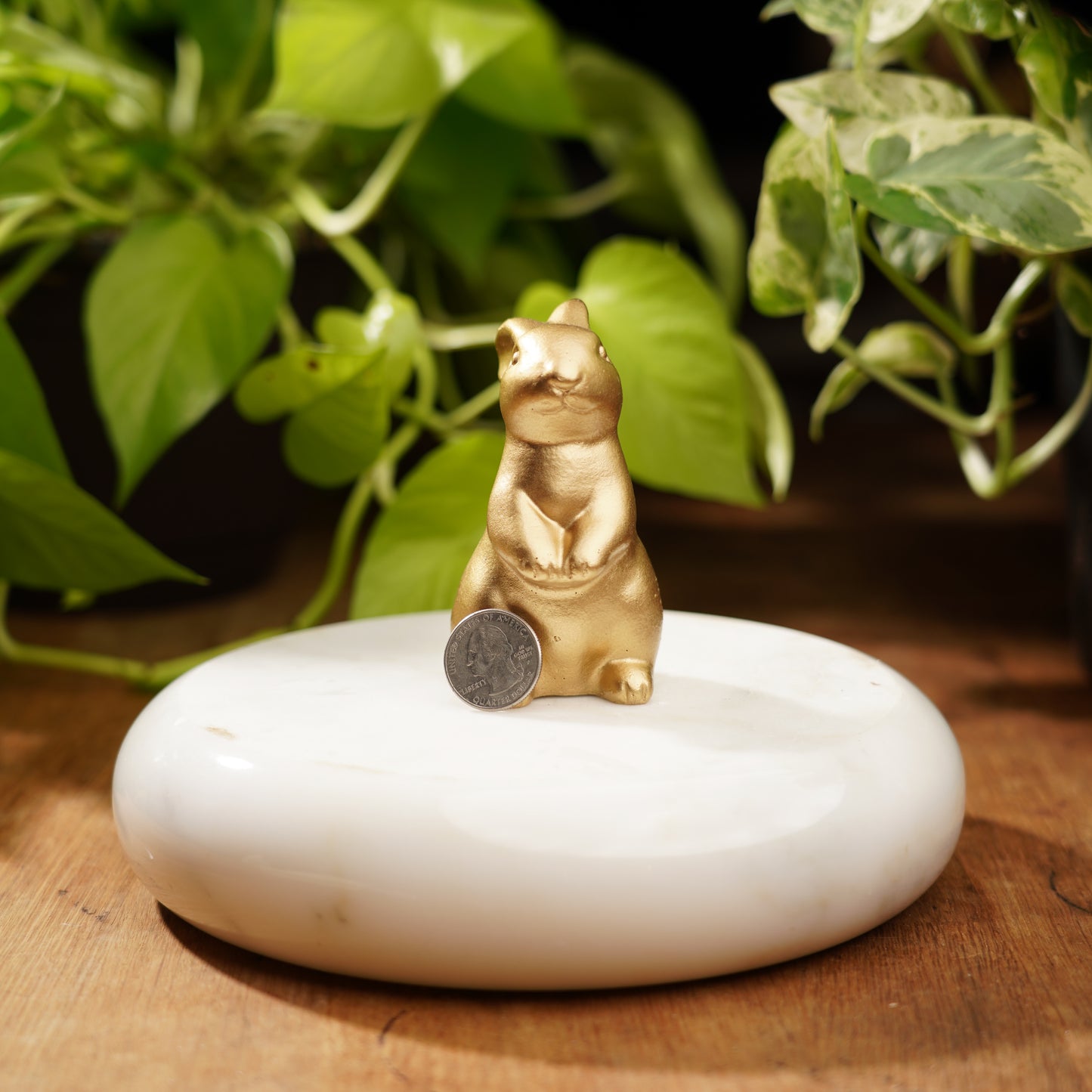 Gold Concrete Rabbit - For Luck and Prosperity