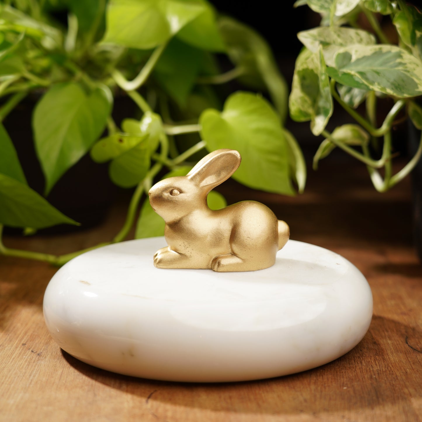 Gold Concrete Rabbit - For Luck and Prosperity