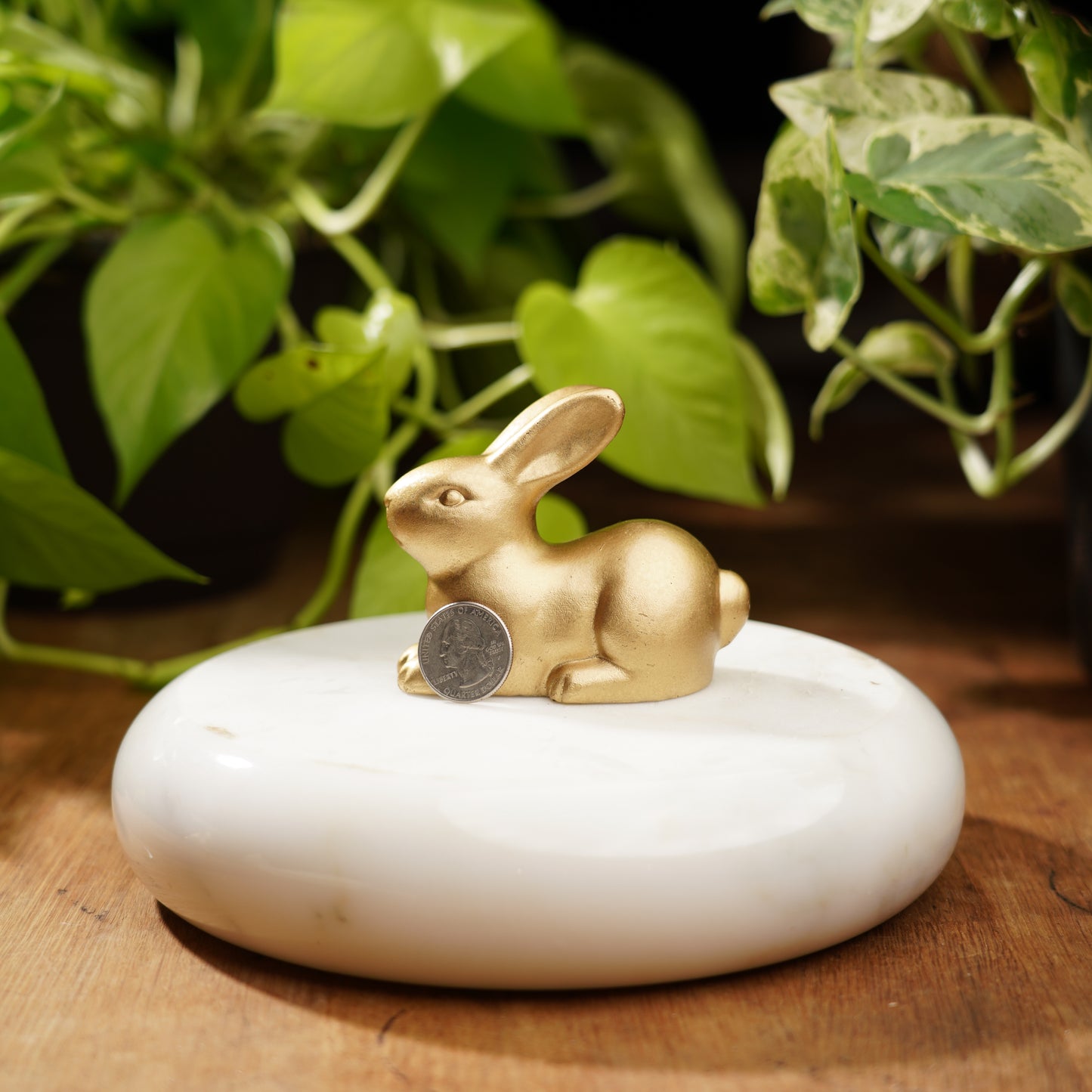 Gold Concrete Rabbit - For Luck and Prosperity