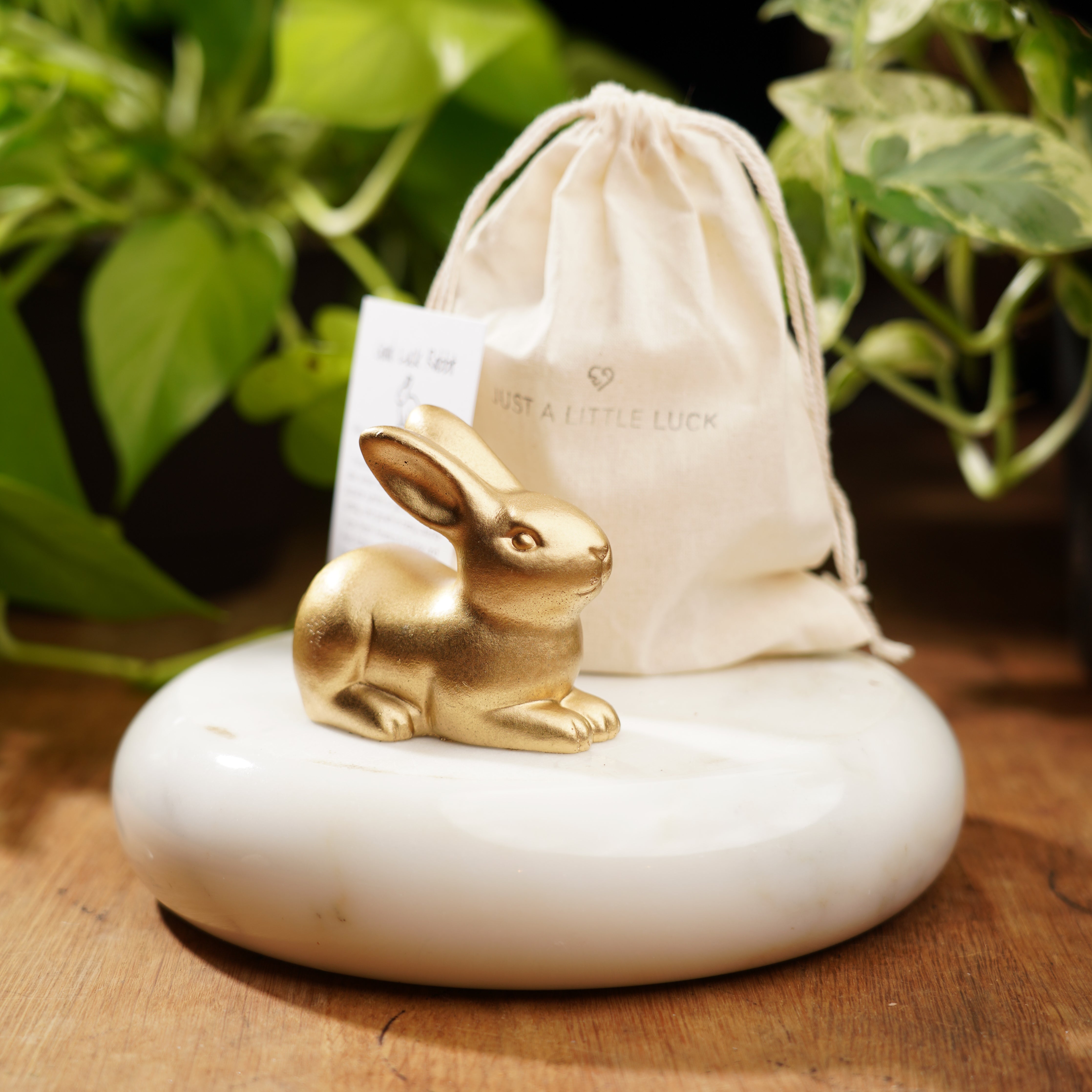 Gold Concrete Rabbit - For Luck and Prosperity – Just A Little Luck