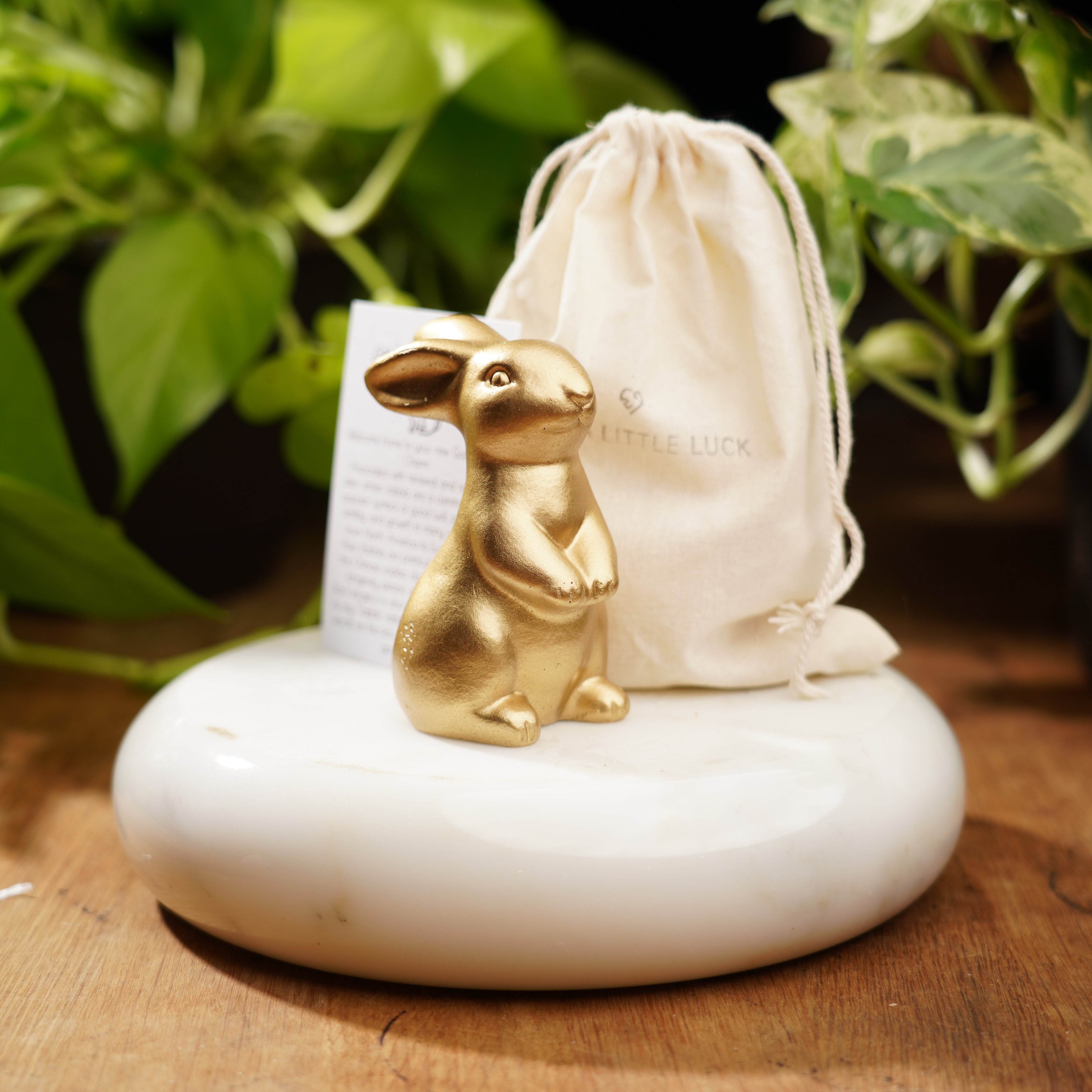 Gold Concrete Rabbit - For Luck and Prosperity – Just A Little Luck