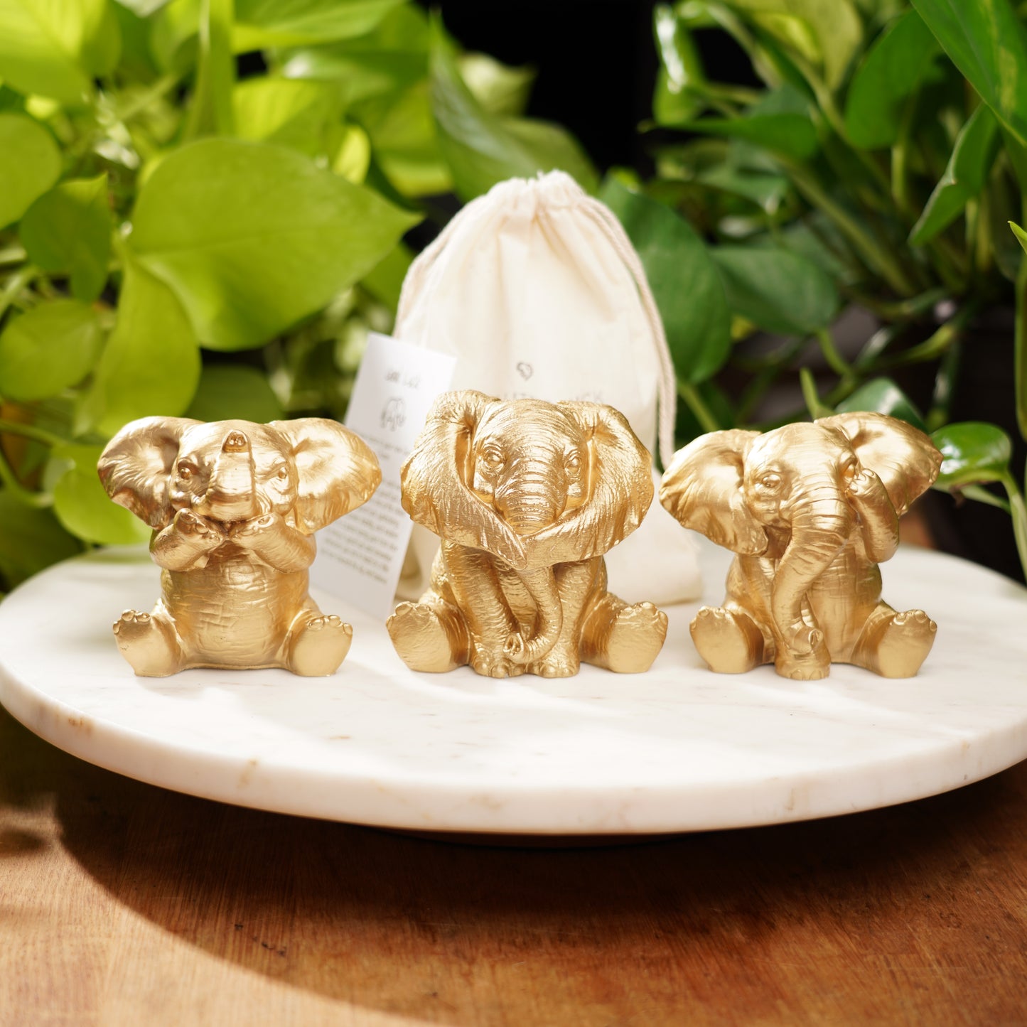 Speak No, See No, Hear No Evil Lucky Elephant Set
