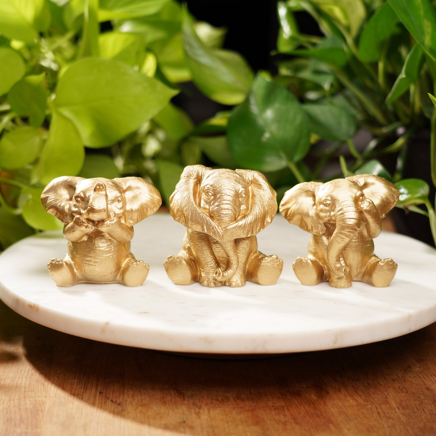 Speak No, See No, Hear No Evil Lucky Elephant Set
