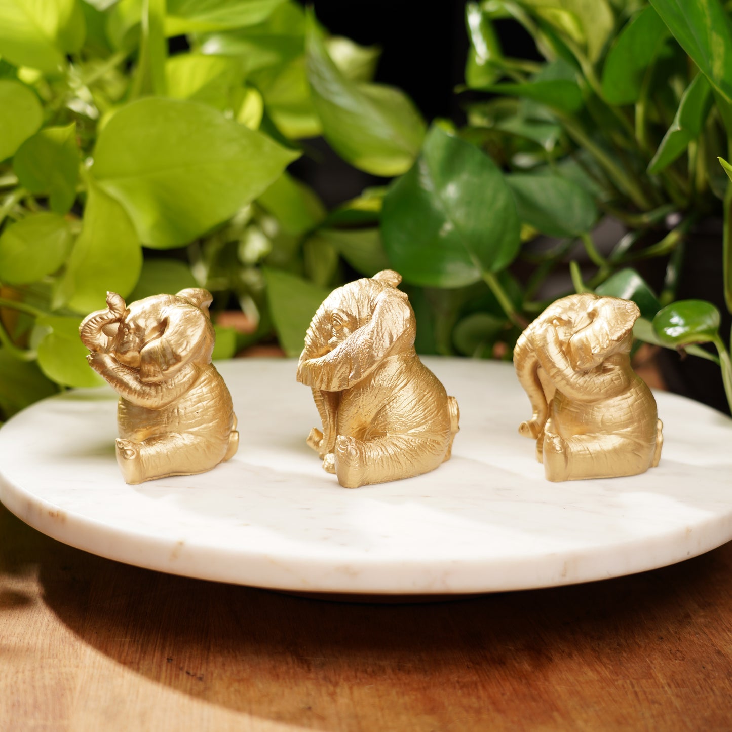 Speak No, See No, Hear No Evil Lucky Elephant Set